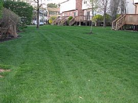 Spacious 3 Bedroom Townhouse with Great Fireplace! in Suffern, NY (Photo 6 of 12)