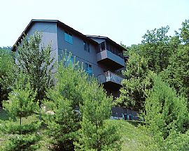 Wonderful 2 Bedroom Condo - Timeshare for One Week a Year in Massanutten, VA (Photo 5 of 10)