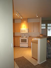 Extra Large 1 Bedroom Condo - Newly Painted and Carpeted in Sammamish, WA