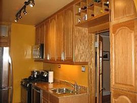 Vintage 1 Bedroom Condo with Upgrades Near Lake  in Evanston, IL (Photo 1 of 7)