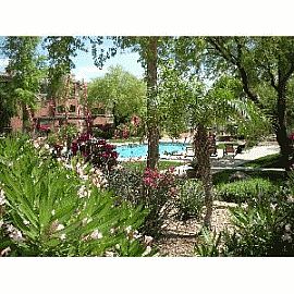 Live in Paradise, Close to Everything! in Phoenix, AZ