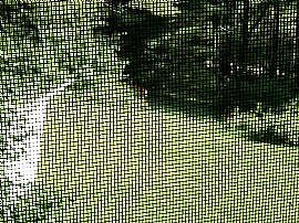 Secluded 3 Br 2 Ba House on More Than 10 Acres! in Tunbridge, VT (Photo 2 of 2)