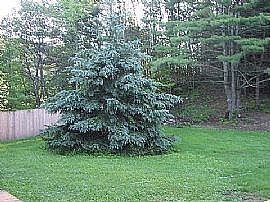 Large 4 Br 2 Ba Home in Mendon, VT (Photo 2 of 2)