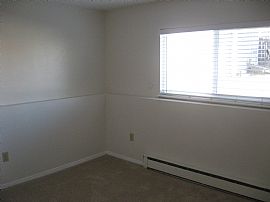 4 Bedroom, 2 Bath, Perfect Inside and Out in Aurora, CO (Photo 8 of 11)