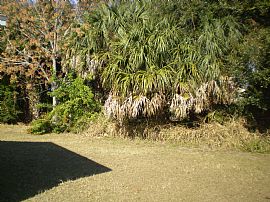 Large Everything! Move-In Specials in Sanford, FL (Photo 5 of 5)