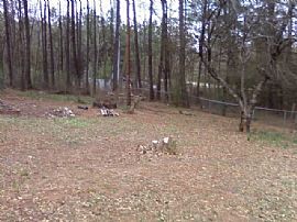 Imagine Living Here in Austell, GA (Photo 8 of 10)