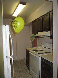 Beautiful 1bd Starting at $450! Great Move in Specials! in Indianapolis, IN (Photo 3 of 4)