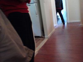 Newly Renovated Apartment Near F Train - Low Fee in Quiet Area! in Briarwood, NY (Photo 3 of 6)