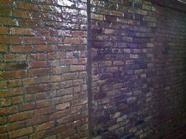 Spankin!freshwood Detail/new Appl/exposed Brick/no Fee/r Train in Brooklyn, NY (Photo 2 of 6)