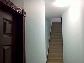 Spankin!freshwood Detail/new Appl/exposed Brick/no Fee/r Train in Brooklyn, NY (Photo 6 of 6)