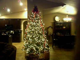 New 4 Bedroom, 3 Bath Home with 2795 Sq. Ft. in Phelan, CA