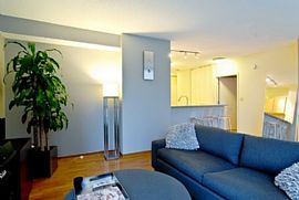 Hot River East Condo in Full Amenity Building in Chicago, IL (Photo 6 of 8)