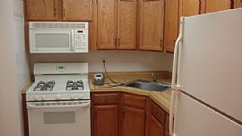 Oversized 2 Bedroom Apartment Hardwood Floors Throughout in Brooklyn, NY