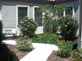 Gorgeous Home in Trilogy at Power Ranch in Gilbert, AZ (Photo 2 of 11)