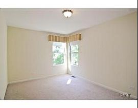 Spacious 4 Br Home with Open Floor Plan in Naperville, IL (Photo 10 of 10)