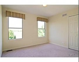 Spacious 4 Br Home with Open Floor Plan in Naperville, IL (Photo 9 of 10)