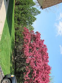 Come Home in Canton, MI (Photo 2 of 6)