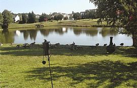 Union County Home with Lake View in Cul-De-Sac in Indian Trail, NC (Photo 3 of 6)