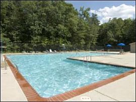 Newly Renovated 1 Bedroom Apartment Home with Upgraded Cabinetry in Laurel, MD (Photo 4 of 7)