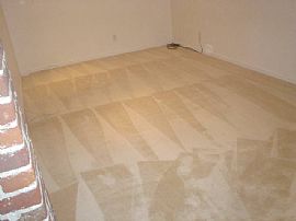 Remodeled 3 BR Home in Washington Park  in Denver, CO (Photo 6 of 9)