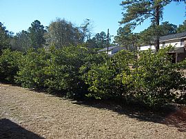 2 BR, 2 BA Townhouse - 4 Units Available in Blanford Crossing in Rincon, GA (Photo 11 of 11)