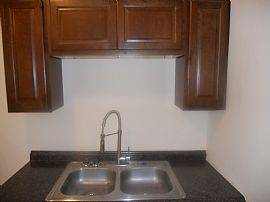 Exquisite 1 Bedroom Apartment with Hardwood Floors in Chicago, IL (Photo 9 of 10)