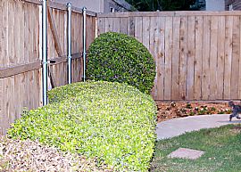 Beautifully Updated 3 Bedroom, 3 Full Bath Townhome  in Dallas, TX (Photo 8 of 9)