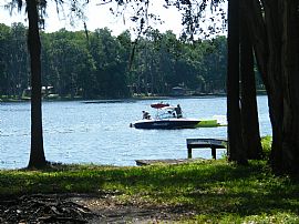 Summer Special! No Deposit Down If Lease Signed By 9/1!  in Tampa, FL (Photo 6 of 6)