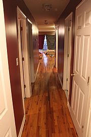 3br 2 Ba New Construction Section 8 Ok!! in Newark, NJ (Photo 2 of 4)