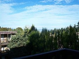 1bed/1bath in Edmonds, Pets Ok, Ground Floor in Edmonds, WA (Photo 5 of 5)