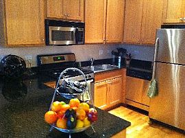 Beautiful 1br 1.5ba Condo Loft in South Loop in Chicago, IL