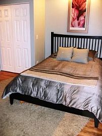 Beautiful 1br 1.5ba Condo Loft in South Loop in Chicago, IL (Photo 5 of 5)