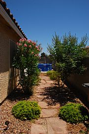 Beautiful Single Story in Gated Community Appliances Included!! in North Las Vegas, NV (Photo 9 of 12)