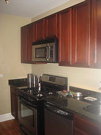 Luxurious 2 BD Condo with Marble Fireplace in New Austin Area  in Chicago, IL (Photo 2 of 8)