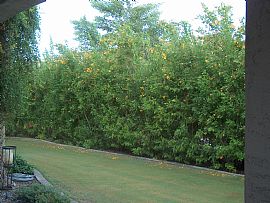 Trilogy at Power Ranch in Gilbert, AZ (Photo 4 of 8)