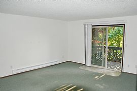 2 Bd Apartment in Centralia in Centralia, WA (Photo 5 of 7)