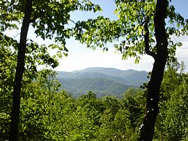 Furnished 3br Mountaintop Home in Otto, NC (Photo 4 of 6)