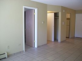 Beautifully Updated 1 BR Apartment - Price Reduced! in Elgin, IL (Photo 5 of 9)