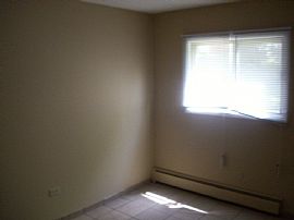 Beautifully Updated 1 BR Apartment - Price Reduced! in Elgin, IL (Photo 7 of 9)