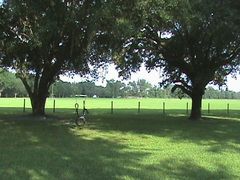 3 Bedroom, 2 Bath Home on 23 Acres  in Lake City, FL (Photo 10 of 12)