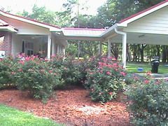 3 Bedroom, 2 Bath Home on 23 Acres  in Lake City, FL (Photo 11 of 12)