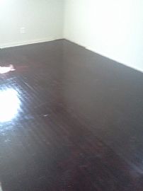 3 Bedroom on Dead End Street! in Balch Springs, TX (Photo 5 of 10)