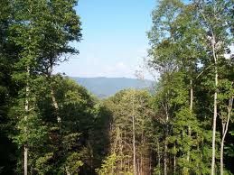 Mountainview Retreat Home Available!! in Franklin, NC (Photo 4 of 4)