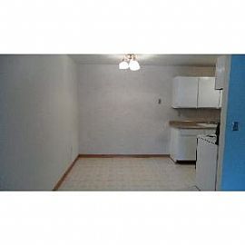 Spacious 1 Bedroom Unit Overlooking The Pool in Lino Lakes, MN (Photo 4 of 5)