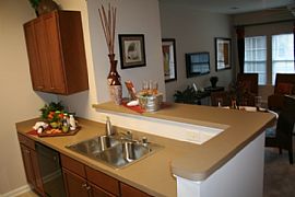 Lease The Last of Our Amazing One Bedroom Floor Plans! in Towson, MD (Photo 7 of 12)