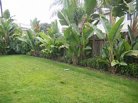 Large 3 BR, 2 BA Apartment Near School and Park in Huntington Beach, CA (Photo 4 of 7)