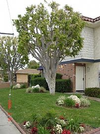 Large, Remodeled 3 Bedroom, 2.5 Bath Townhouse in Huntington Beach, CA (Photo 3 of 7)