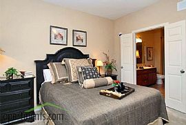 2 Bedroom Apartment with Luxury at Its Best! in Houston, TX (Photo 3 of 12)