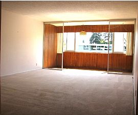 Spacious 2 BR, 1 BA Condo Near Downtown San Mateo - $2300  in San Mateo, CA (Photo 3 of 5)