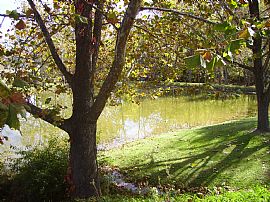 2 Bedroom, 1 .5 Bath Townhouse with Remodeled Swimming Pool in Staunton, VA (Photo 4 of 6)